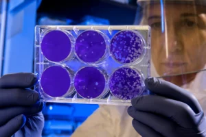 Laboratory research supporting rehabilitation and recovery treatments